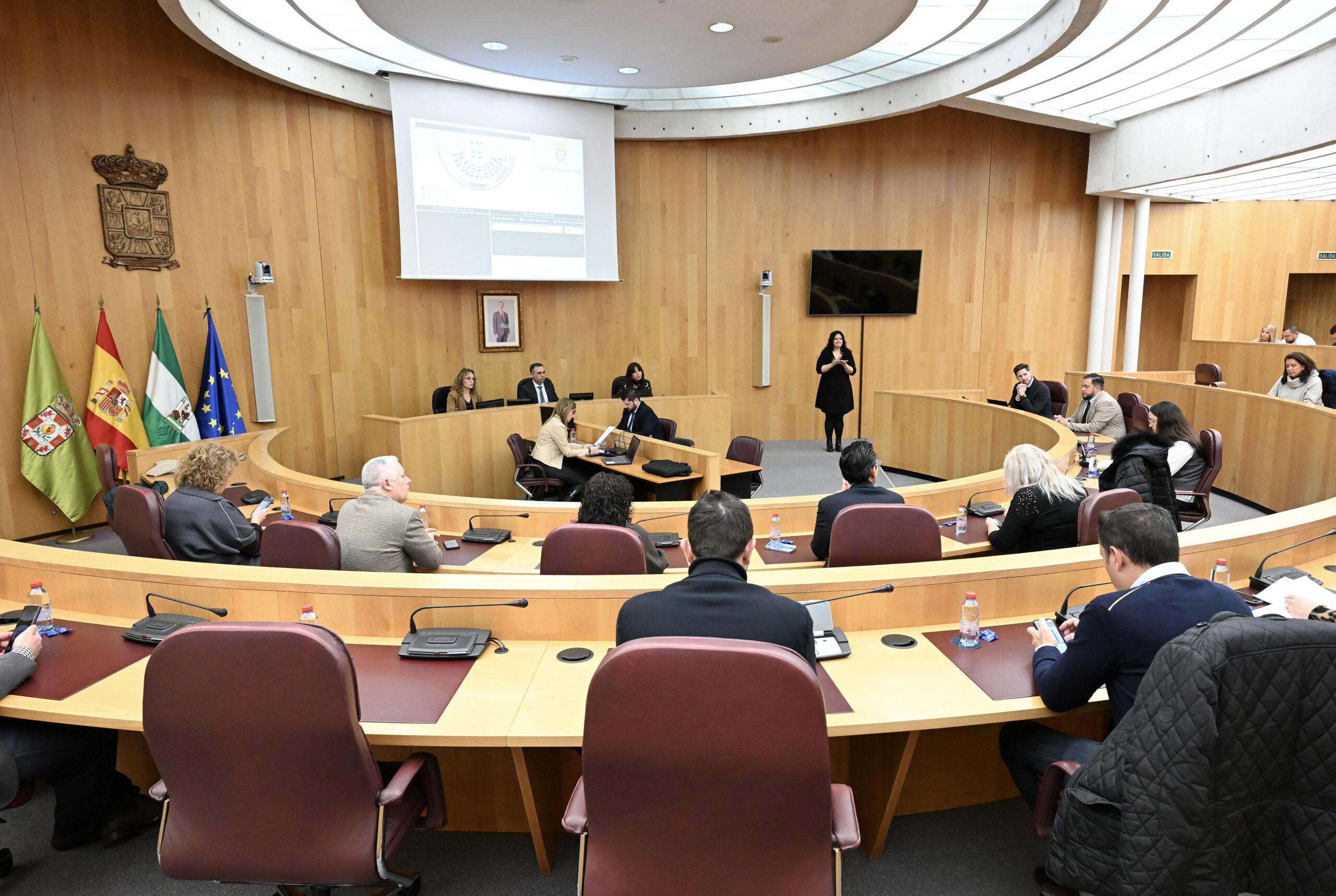 La Diputación de Granada solicita por unanimidad la declaración de Zona Gravemente Afectada por el temporal